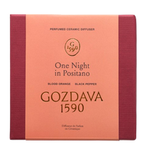 Load image into Gallery viewer, ONE NIGHT IN POSITANO DIFFUSER DISC MEDIUM