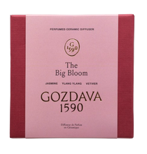 Load image into Gallery viewer, THE BIG BLOOM DIFFUSER DISC MEDIUM