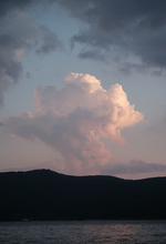 Load image into Gallery viewer, BENEATH AN ANCIENT TREE HAND LOTION 250ML