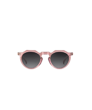 Load image into Gallery viewer, PARIS 5 227-C-48 V FLAMINGO CLASSIC GREY 48/24/145