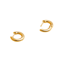 Load image into Gallery viewer, QUINN GOLD EARRINGS