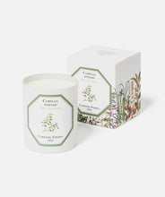 Load image into Gallery viewer, TEA PLANT CANDLE