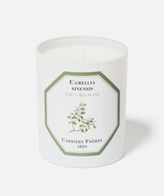 Load image into Gallery viewer, TEA PLANT CANDLE